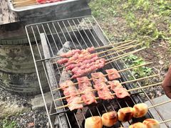 -汤山温泉房车营地 茶温泉