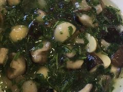 烩双菇-红城阁·上海味道(四平路店)
