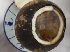 原只椰子炖竹丝鸡-達揚原味燉品(文明路店)