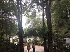 -南山植物园