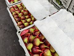 -西郊国际农产品交易中心