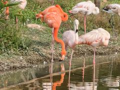 -杭州野生动物世界