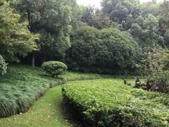 -杭州城北体育公园