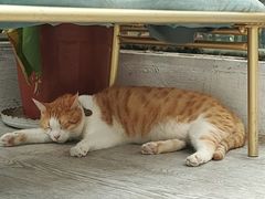 -小时光咖啡馆(北锣鼓巷店)