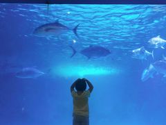 -常州海昌海洋探索馆
