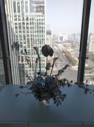 -颜蕾医美黄金微针水光美肤玻尿酸抗衰中心
