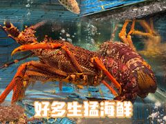 -好友缘家宴(青山路店)
