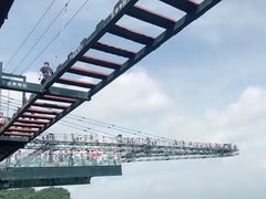 -梦幻奥陶纪景区