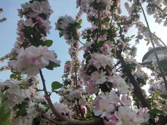 -元大都城垣遗址公园