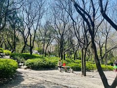 -千佛山风景名胜区