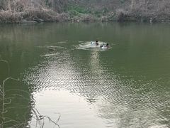 -天目湖涵田半山温泉
