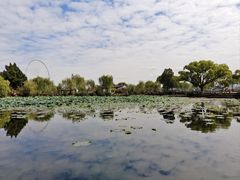 -无锡蠡湖国家湿地公园-蠡园