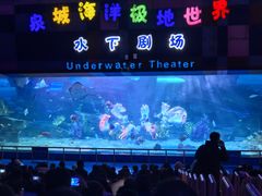 -泉城欧乐堡海洋极地世界