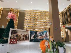 -深影国际影城(学院南路店CGS中国巨幕店)