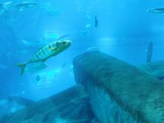 -福州罗源湾海洋世界旅游区