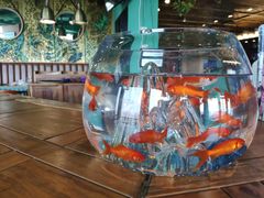 -烛影拾光观景餐厅·创意菜·摄影·小提琴(大唐不夜城店)