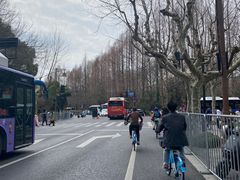 -西湖游船