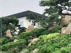 -罗红摄影艺术馆