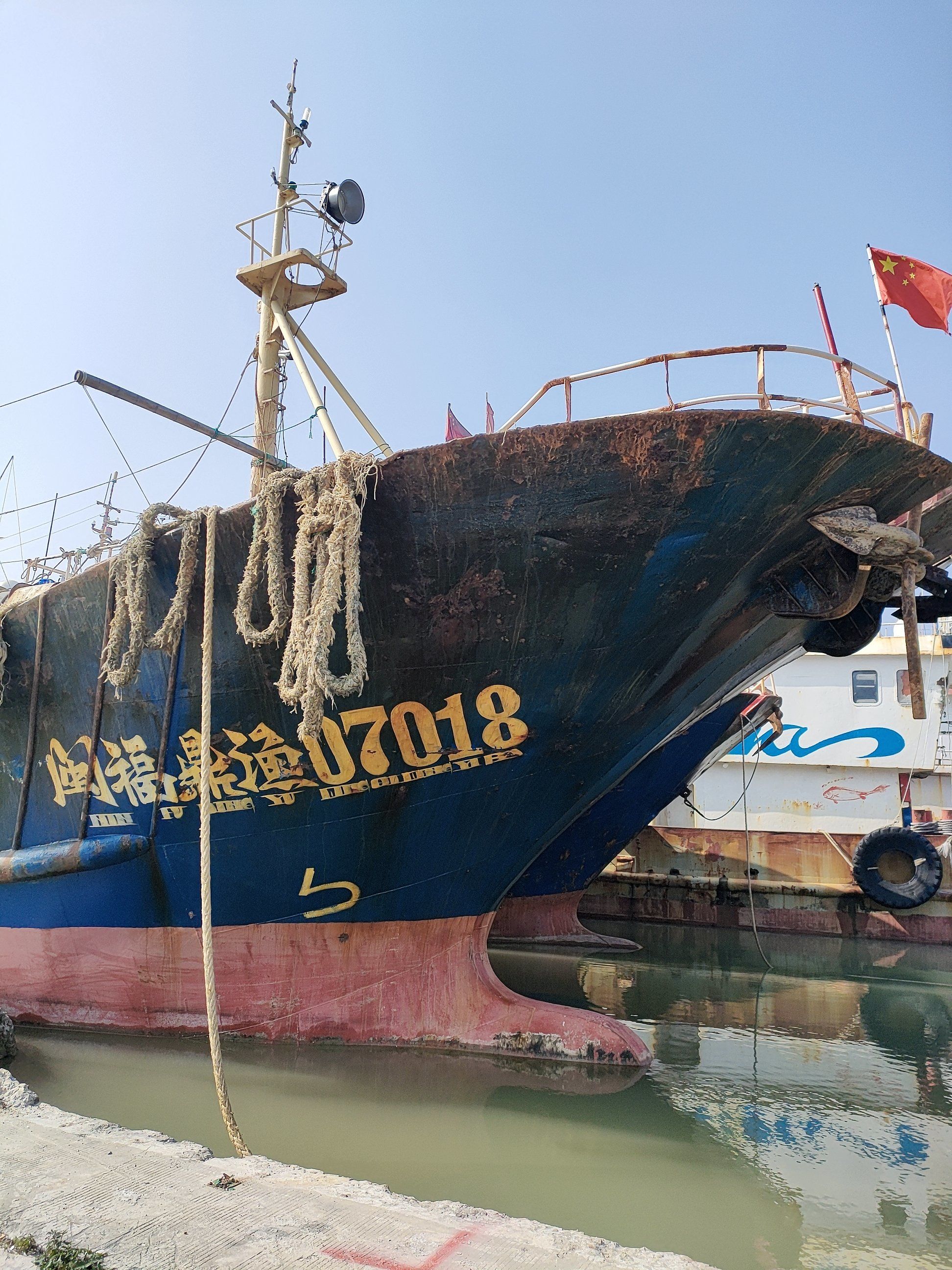 看!海边真有大轮船!