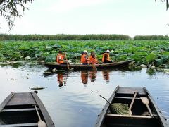 -洪湖生态旅游区