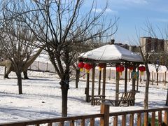 -北京鹿世界主题园