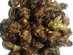 -村东第一家私房菜馆(古北水镇店)