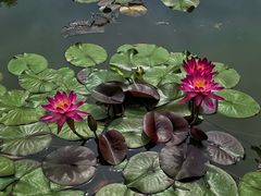 -国家植物园南园