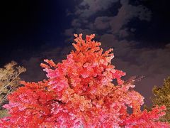-厦门方特东方神画