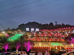 -枇杷园食为鲜火锅(南山店)