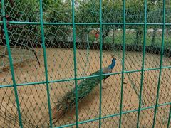 -武汉紫薇都市田园