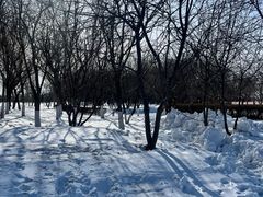 -丁香湖公园