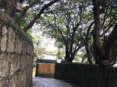 -普陀山慧济禅寺