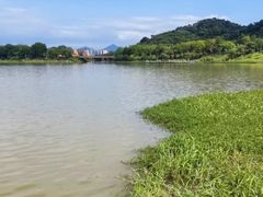 -风云岭森林公园