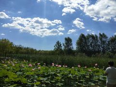 -东郊湿地公园