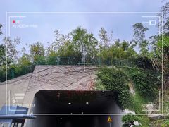 -深圳仙湖植物园