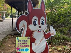 -五营红松林海景区