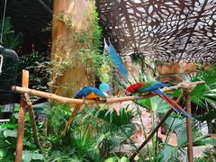 -杭州开元森泊度假乐园