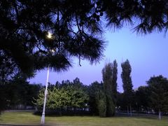 -哈尔滨大剧院