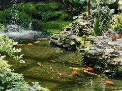 -广州白天鹅宾馆