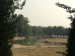 -北京麋鹿生态实验中心