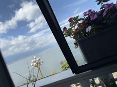 -野菌皇海景野生菌火锅(滨海大道店)
