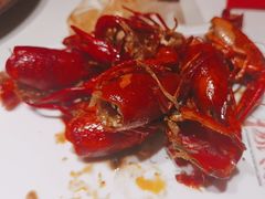 -杨氏青龙虾·羊蝎子(托乐嘉店)