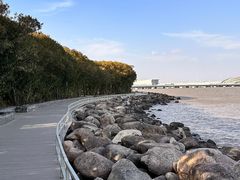 -上海吴淞炮台湾国家湿地公园