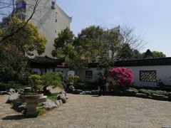 -上海醉白池公园