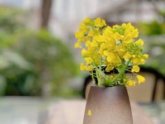 油菜花-天府掌柜(九眼桥店)