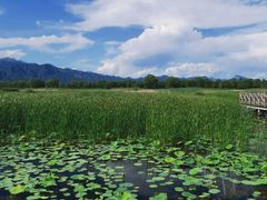 -野鸭湖国家湿地公园