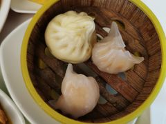 -清华大学-清芬园