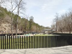 -白水寺森林公园