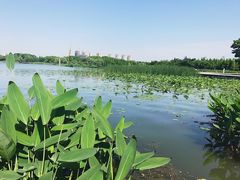 -尚贤河湿地