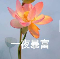 -Dr.林醫生产后修复·超级店(南京江宁同曦店)